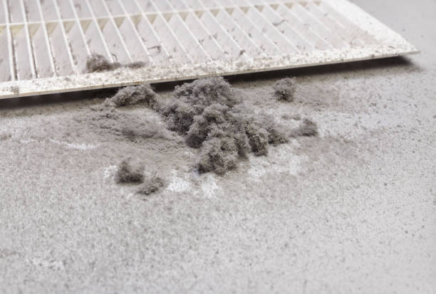 Best Home Air Vent Cleaning  in Santa Rosa, CA