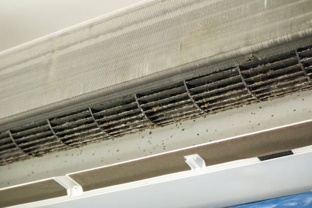 Best Affordable HVAC Duct Cleaning  in Santa Rosa, CA